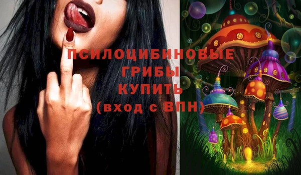 ешки Алексеевка