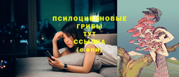 Альфа ПВП Алексин