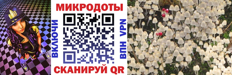 Псилоцибиновые грибы GOLDEN TEACHER  Купить где  Жирновск 